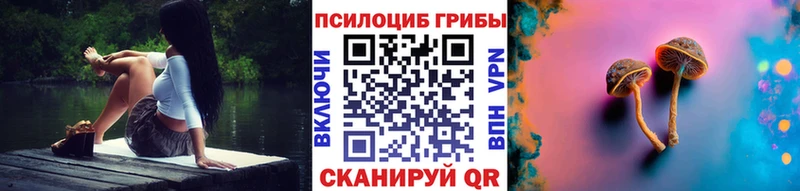 цены   Тюмень  Псилоцибиновые грибы прущие грибы 